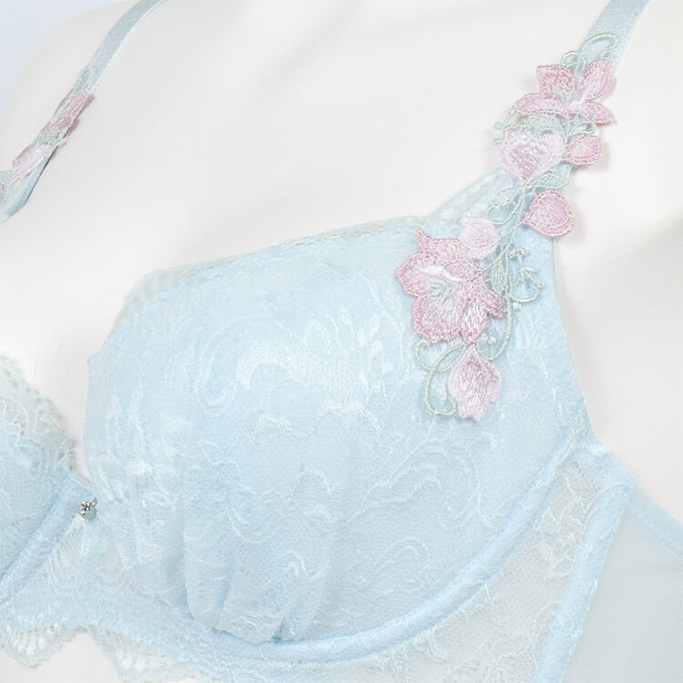 intesucre「アンテシュクレ なでしこブラ ブラジャー単品 C-G/65-75 IBT391」|インナー|