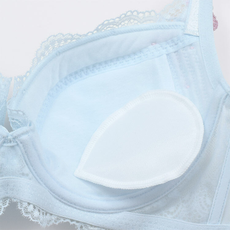 intesucre「アンテシュクレ なでしこブラ ブラジャー単品 C-G/65-75 IBT391」|インナー|
