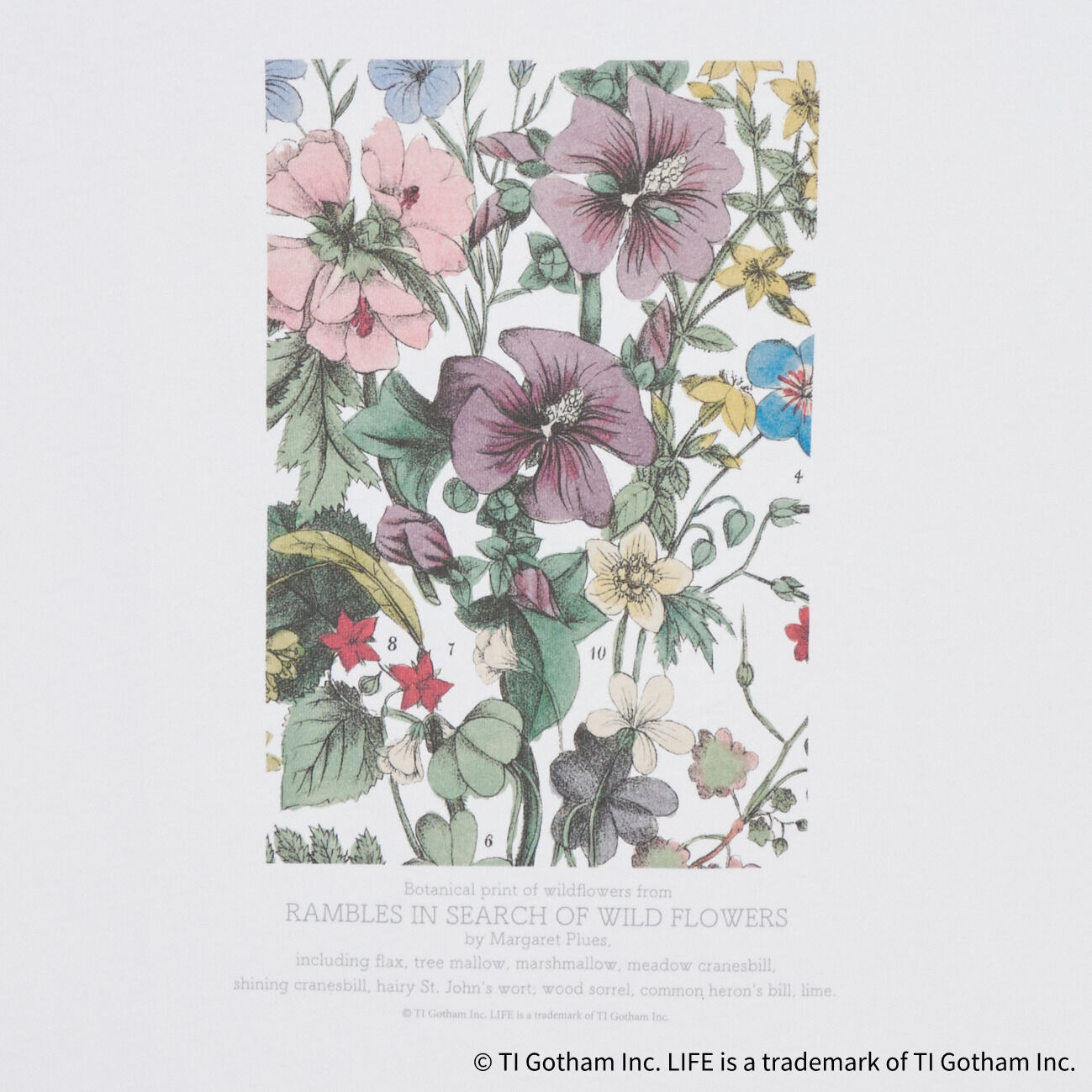  「GOOD ROCK SPEED LIFE PC / FLOWER SLEEVELESS TEE」|Tシャツ・カットソー|
