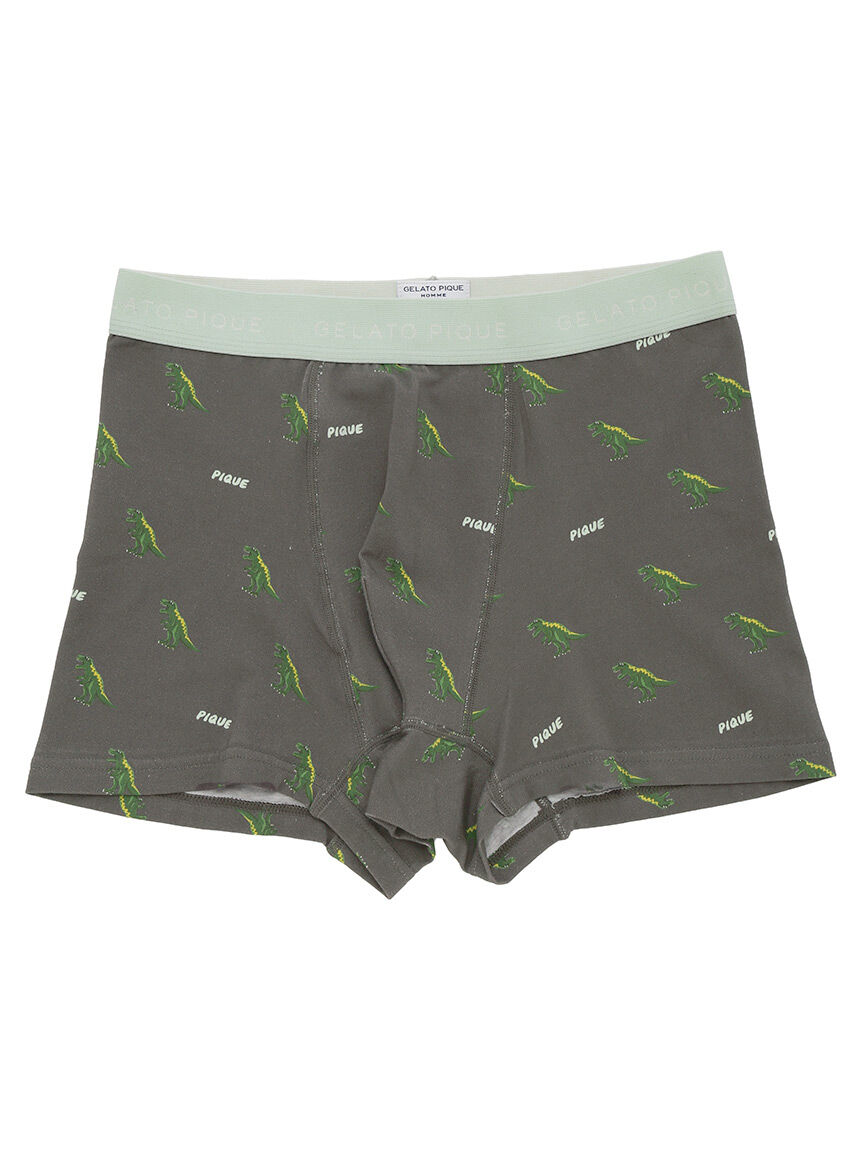 GELATO PIQUE HOMME「【ONLINE限定】【HOMME】ダイナソープリントボクサーパンツ」|インナー|