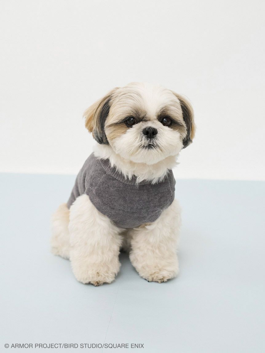  GELATO PIQUE CAT&DOG「【ドラゴンクエスト】 【CAT&DOG】【販路限定】ジャガードプルオーバー」|その他|