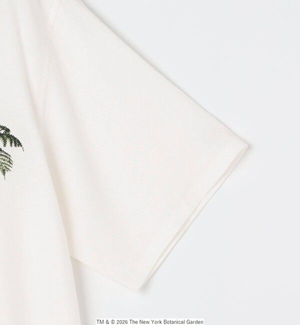SHIPS any「SHIPS any: NYBG コラボ トロピカル ロゴ 刺繍 リラックス リネン ミックス 半袖 シャツ◇」|シャツ・ブラウス|