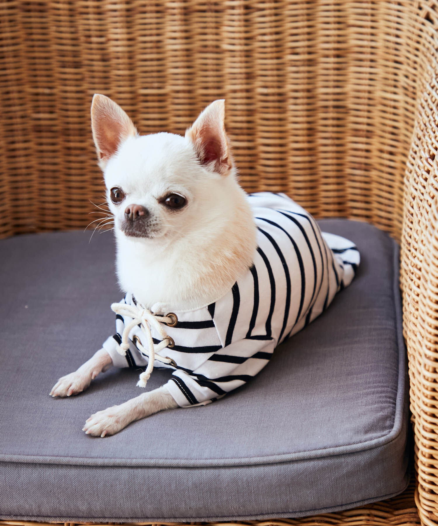 ROPE PICNIC PASSAGE「【DOG】レースアップボーダーカットソー」|その他|