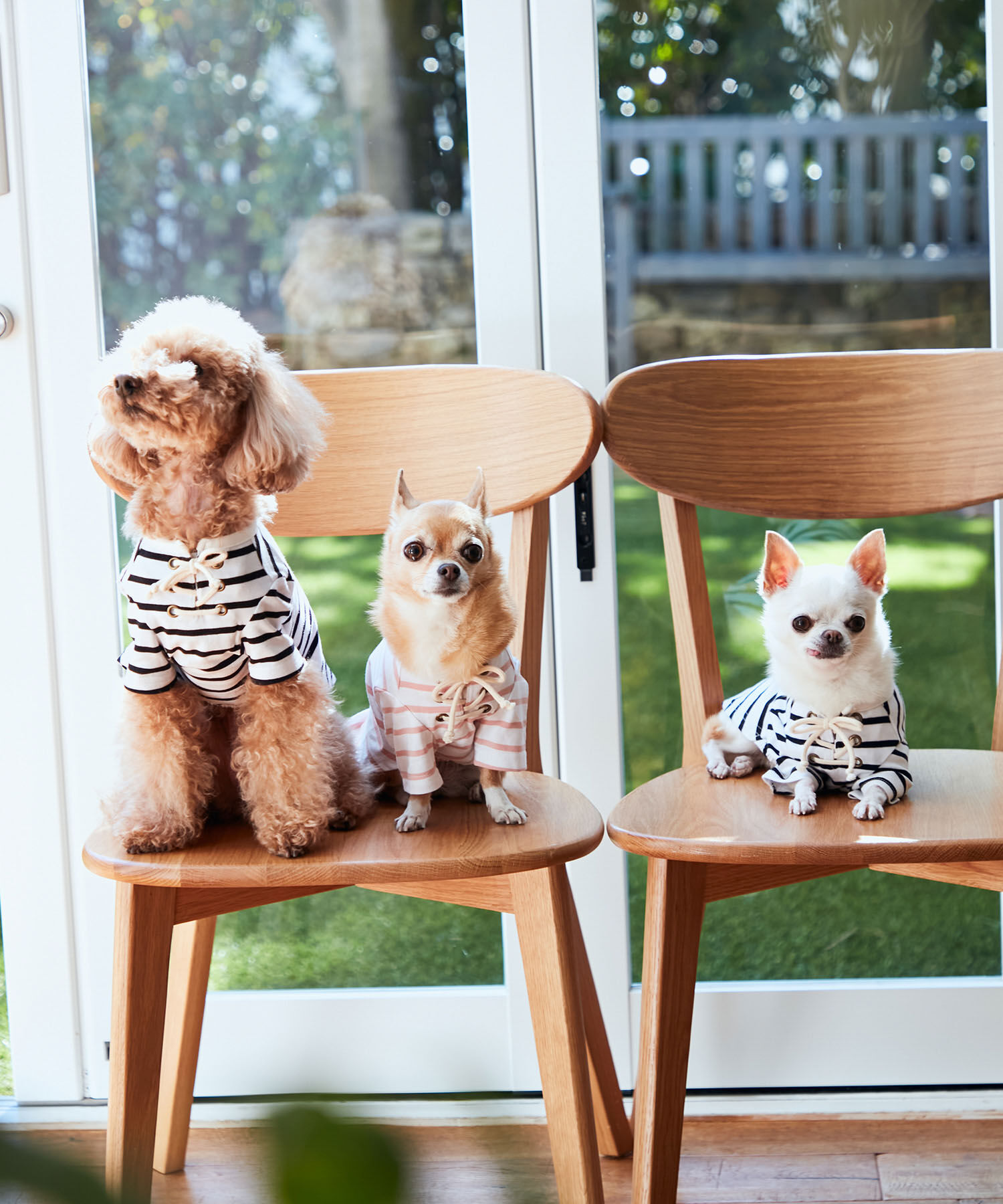 ROPE PICNIC PASSAGE「【DOG】レースアップボーダーカットソー」|その他|