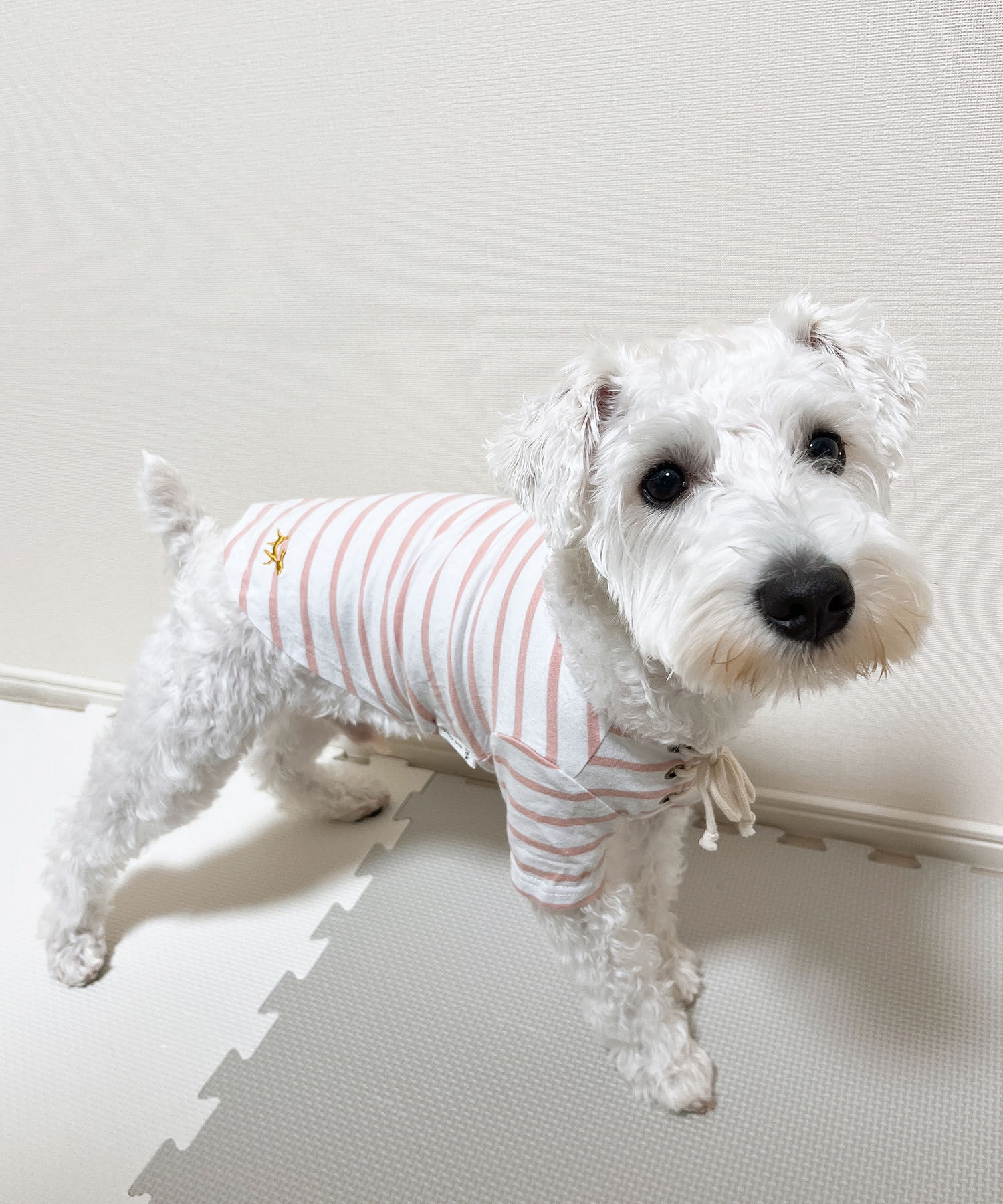 ROPE PICNIC PASSAGE「【DOG】レースアップボーダーカットソー」|その他|