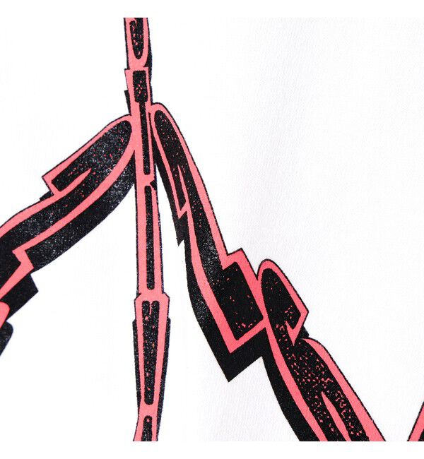 Ray BEAMS 「〈WOMEN〉FUJI ROCK FESTIVAL'26 / EISUKE HOSHI / P2A6E TEE」|Tシャツ・カットソー|