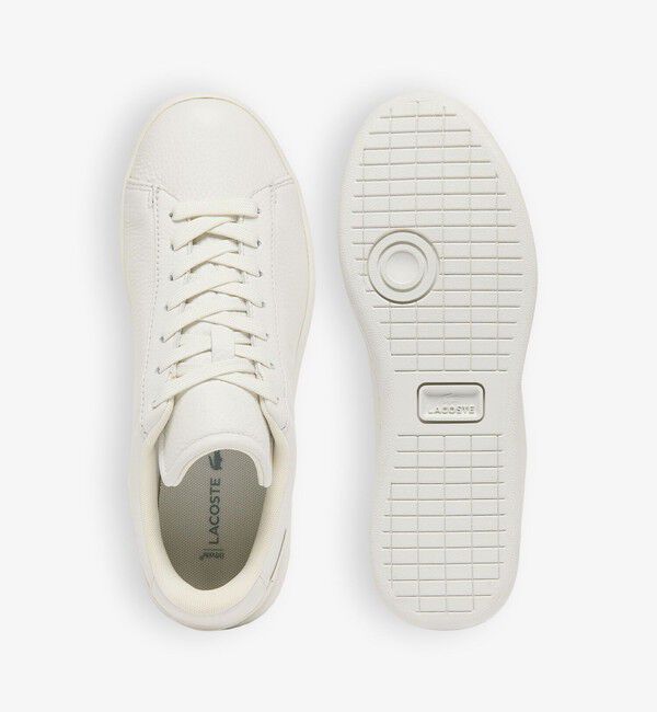LACOSTE「レディース CARNABY SHIELD 226 1 SFA」|スニーカー|