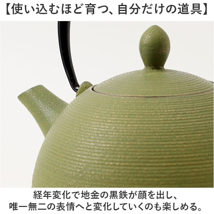 BACKYARD FAMILY「南部鉄器 急須 おしゃれ 通販 日本製 鉄瓶 鉄急須 岩鋳 お茶 ポット 藍花 aika 日の丸」|食器・キッチングッズ|