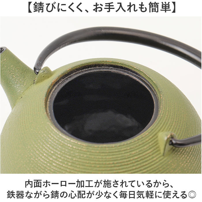 BACKYARD FAMILY「南部鉄器 急須 おしゃれ 通販 日本製 鉄瓶 鉄急須 岩鋳 お茶 ポット 藍花 aika 日の丸」|食器・キッチングッズ|