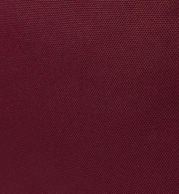 UNITED ARROWS green label relaxing「＜JANSPORT＞ドローサック リュック」|リュック|