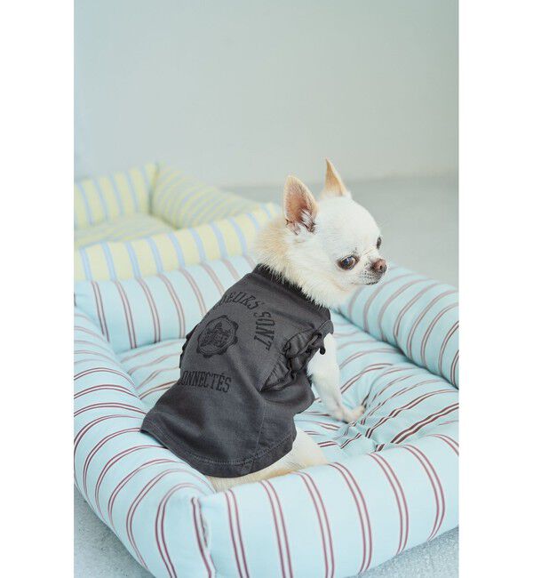 ROPE PICNIC PASSAGE「【DOG】カレッジロゴプリントピグメントTシャツ/リンクコーデ」|その他|