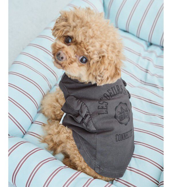 ROPE PICNIC PASSAGE「【DOG】カレッジロゴプリントピグメントTシャツ/リンクコーデ」|その他|