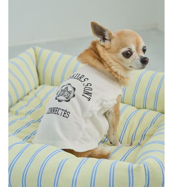 ROPE PICNIC PASSAGE「【DOG】カレッジロゴプリントピグメントTシャツ/リンクコーデ」|その他|