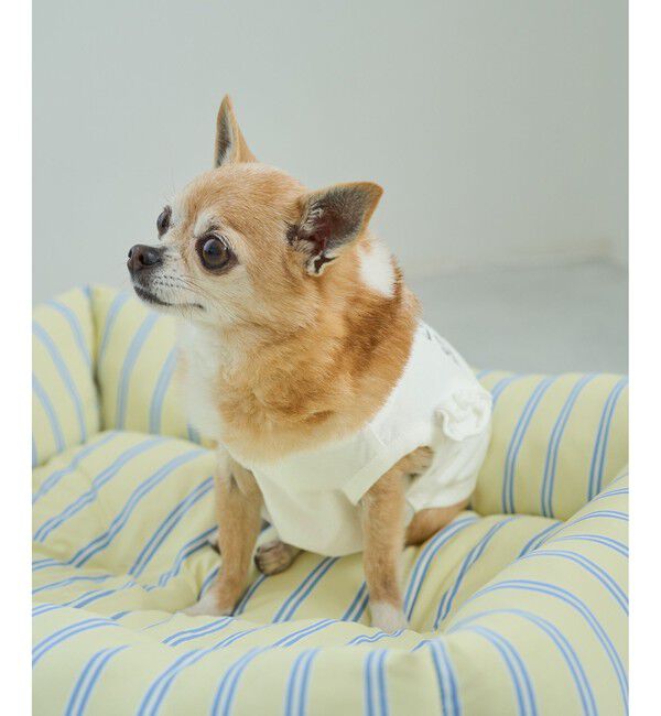 ROPE PICNIC PASSAGE「【DOG】カレッジロゴプリントピグメントTシャツ/リンクコーデ」|その他|