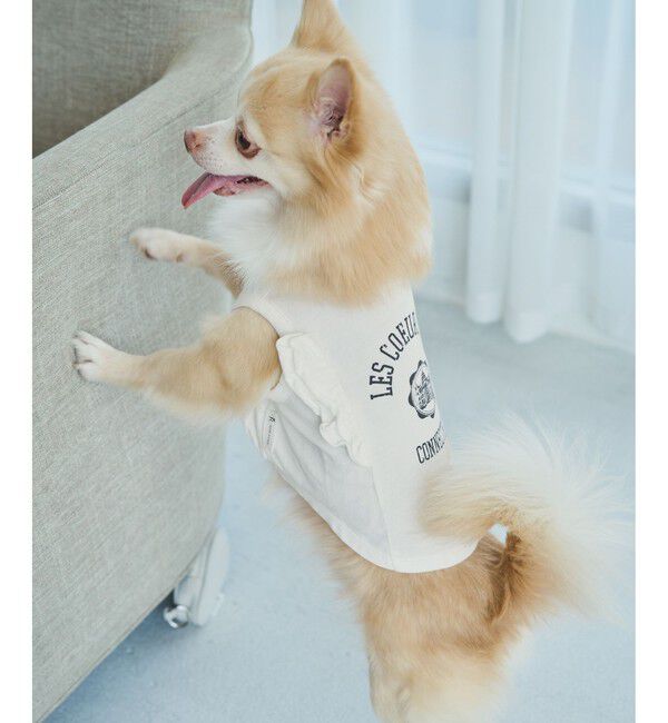 ROPE PICNIC PASSAGE「【DOG】カレッジロゴプリントピグメントTシャツ/リンクコーデ」|その他|