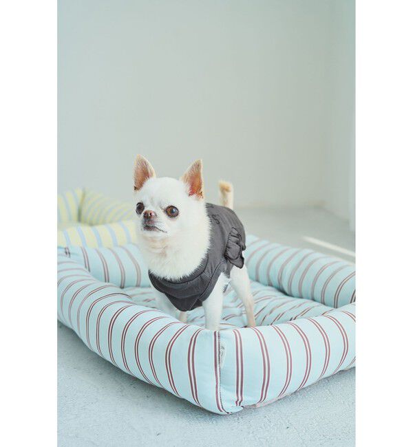 ROPE PICNIC PASSAGE「【DOG】カレッジロゴプリントピグメントTシャツ/リンクコーデ」|その他|