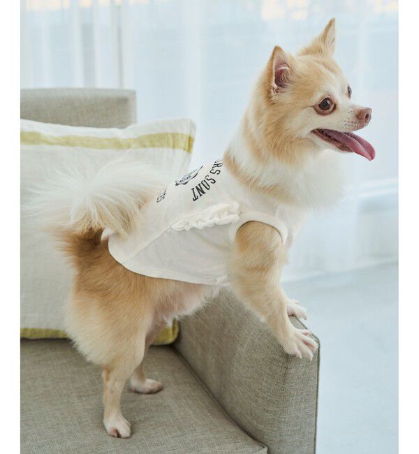 ROPE PICNIC PASSAGE「【DOG】カレッジロゴプリントピグメントTシャツ/リンクコーデ」|その他|