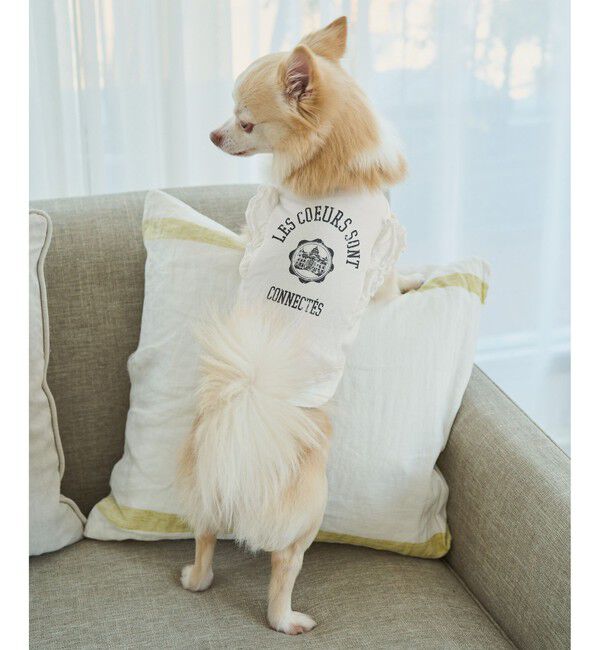 ROPE PICNIC PASSAGE「【DOG】カレッジロゴプリントピグメントTシャツ/リンクコーデ」|その他|