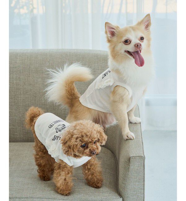 ROPE PICNIC PASSAGE「【DOG】カレッジロゴプリントピグメントTシャツ/リンクコーデ」|その他|