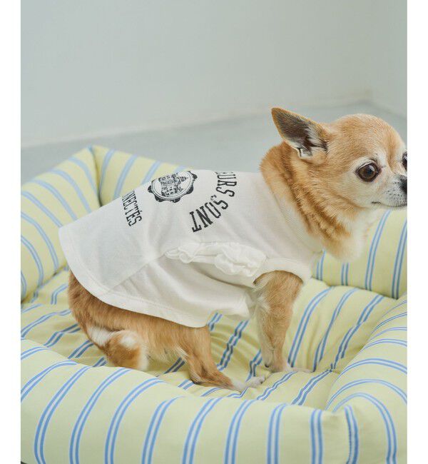 ROPE PICNIC PASSAGE「【DOG】カレッジロゴプリントピグメントTシャツ/リンクコーデ」|その他|