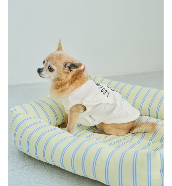 ROPE PICNIC PASSAGE「【DOG】カレッジロゴプリントピグメントTシャツ/リンクコーデ」|その他|