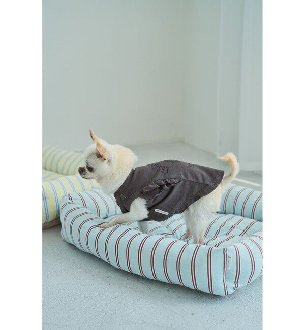 ROPE PICNIC PASSAGE「【DOG】カレッジロゴプリントピグメントTシャツ/リンクコーデ」|その他|