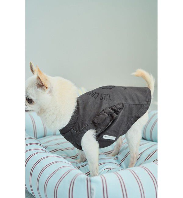 ROPE PICNIC PASSAGE「【DOG】カレッジロゴプリントピグメントTシャツ/リンクコーデ」|その他|
