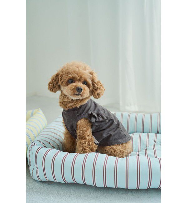 ROPE PICNIC PASSAGE「【DOG】カレッジロゴプリントピグメントTシャツ/リンクコーデ」|その他|