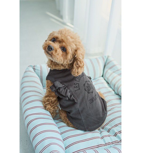 ROPE PICNIC PASSAGE「【DOG】カレッジロゴプリントピグメントTシャツ/リンクコーデ」|その他|