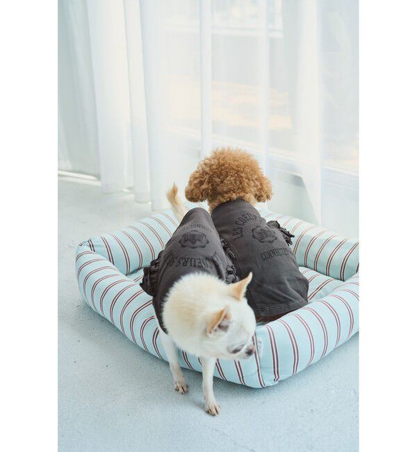 ROPE PICNIC PASSAGE「【DOG】カレッジロゴプリントピグメントTシャツ/リンクコーデ」|その他|