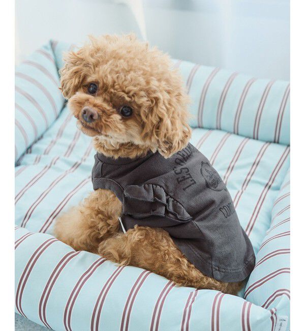 ROPE PICNIC PASSAGE「【DOG】カレッジロゴプリントピグメントTシャツ/リンクコーデ」|その他|