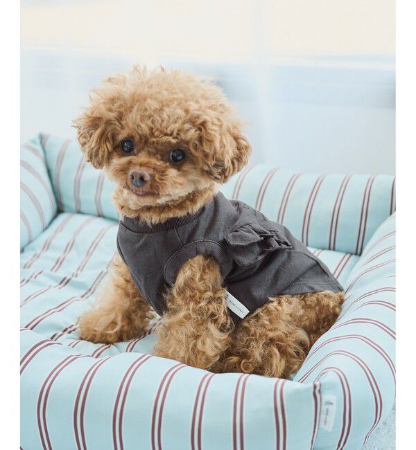 ROPE PICNIC PASSAGE「【DOG】カレッジロゴプリントピグメントTシャツ/リンクコーデ」|その他|