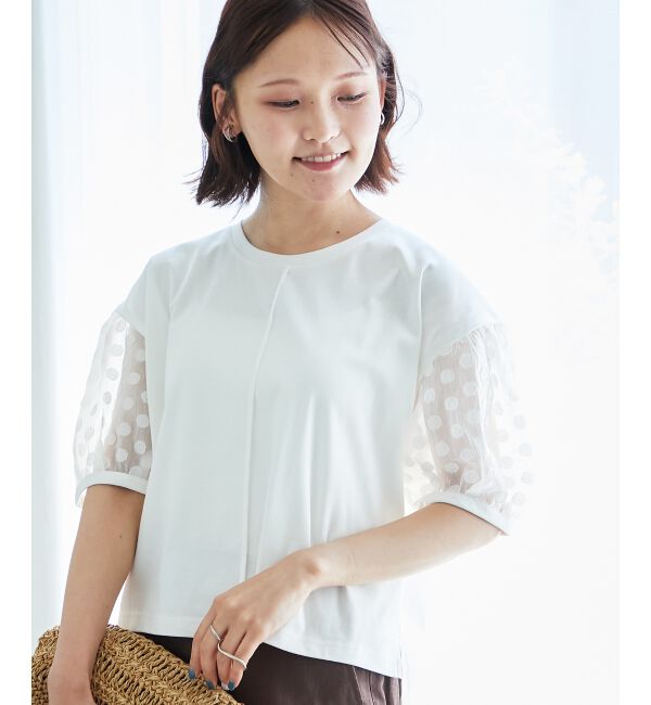  「TORRAZZO DONNAドット切替カットソー」|Tシャツ・カットソー|