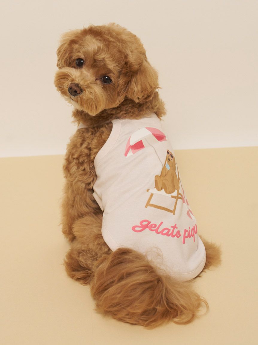  GELATO PIQUE CAT&DOG「【CAT&DOG】【接触冷感】サマーベア柄プルオーバー」|その他|