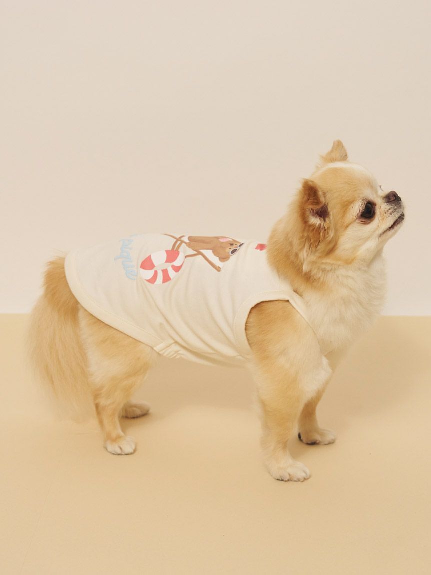  GELATO PIQUE CAT&DOG「【CAT&DOG】【接触冷感】サマーベア柄プルオーバー」|その他|