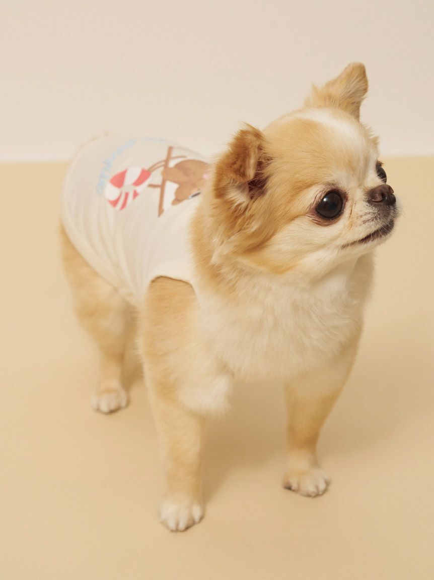  GELATO PIQUE CAT&DOG「【CAT&DOG】【接触冷感】サマーベア柄プルオーバー」|その他|