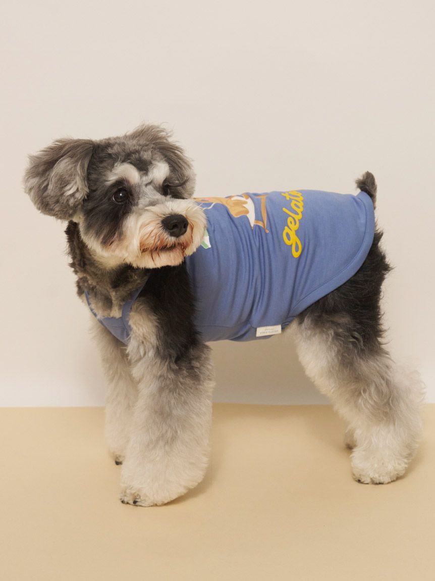  GELATO PIQUE CAT&DOG「【CAT&DOG】【接触冷感】サマーベア柄プルオーバー」|その他|