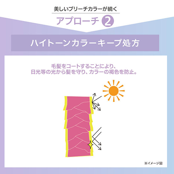  「スティーブンノル ブリーチケアマスター エマルジョン ハーバルフルーティフローラル (100mL)」|洗い流さないトリートメント|