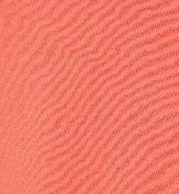 UNITED ARROWS green label relaxing「【別注】＜PETIT BATEAU＞ショートスリーブ プリント Tシャツ」|Tシャツ・カットソー|