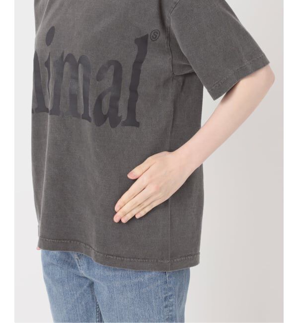 FRAMeWORK「≪新色 / 追加≫STUDIO ANIMALS 別注Animals Letter Tシャツ」|Tシャツ・カットソー|