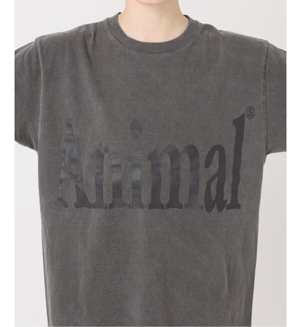 FRAMeWORK「≪新色 / 追加≫STUDIO ANIMALS 別注Animals Letter Tシャツ」|Tシャツ・カットソー|