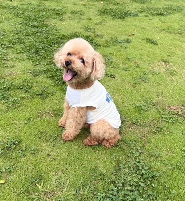 fredy emue「【FR PETS】接触冷感カレッジタンクトップ」|Tシャツ・カットソー|