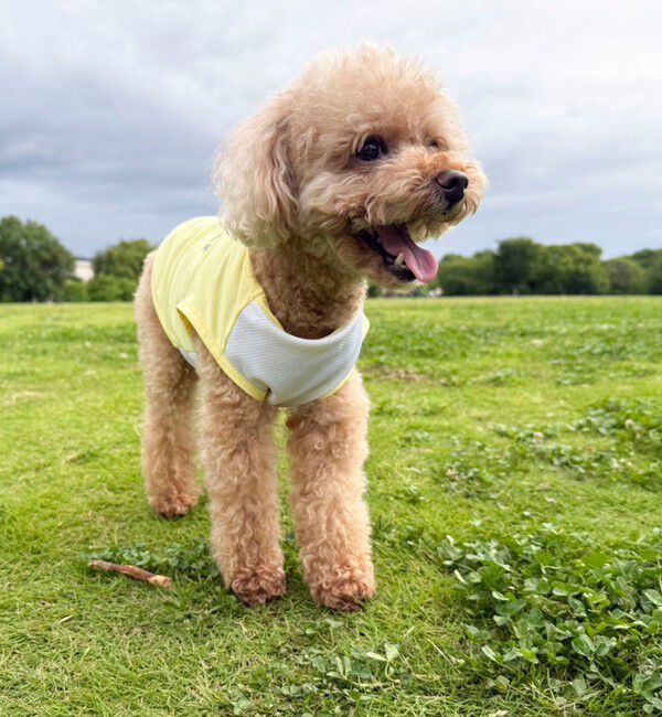 fredy emue「【FR PETS】接触冷感カレッジタンクトップ」|Tシャツ・カットソー|