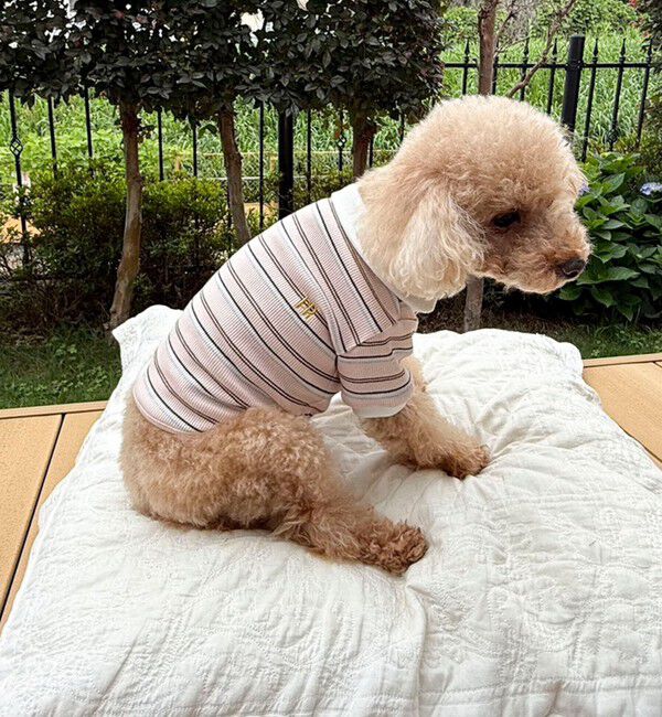 fredy emue「【FR PETS】マルチボーダーポロシャツ」|Tシャツ・カットソー|