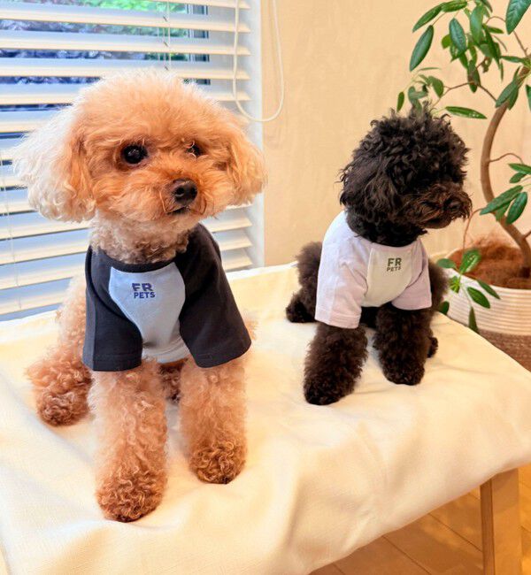fredy emue「【FR PETS】メッセージ配色Ｔシャツ」|Tシャツ・カットソー|