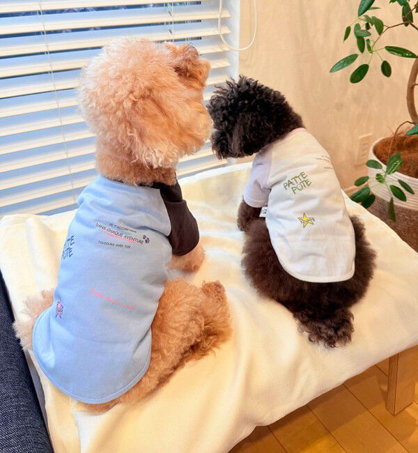 fredy emue「【FR PETS】メッセージ配色Ｔシャツ」|Tシャツ・カットソー|