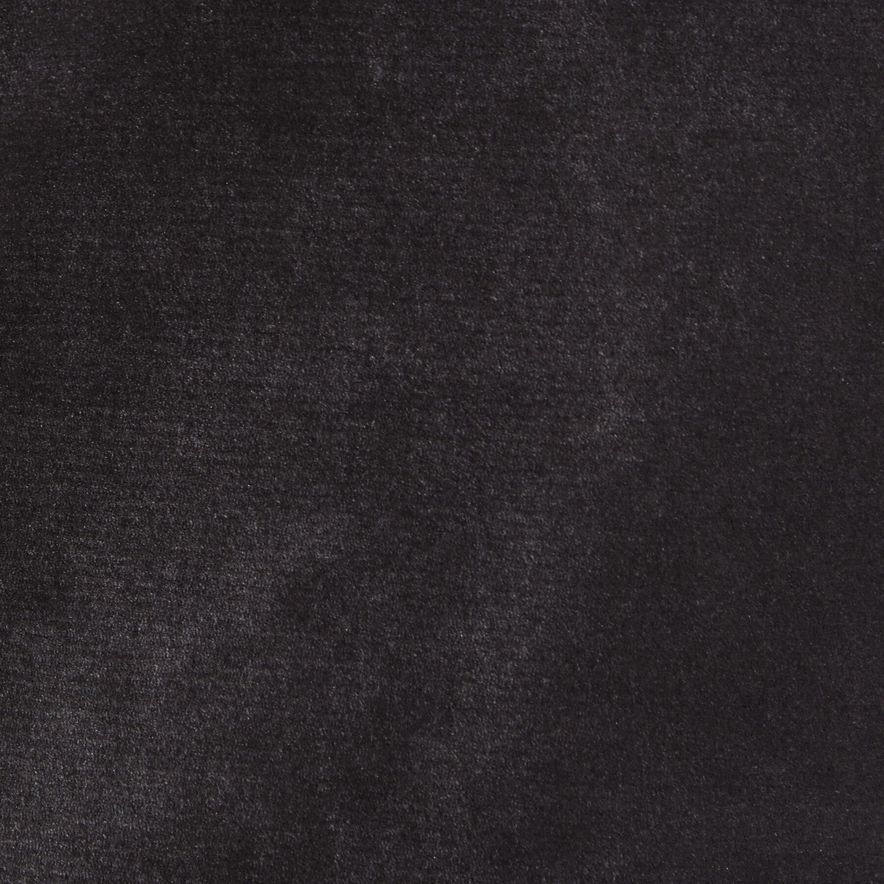 OPAQUE.CLIP「フロッキーチュールカットソー【洗濯機OK】」|Tシャツ・カットソー|