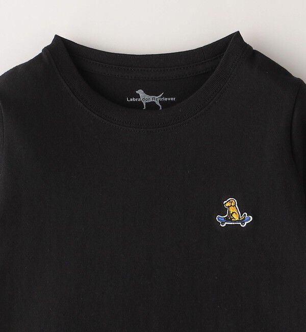 SHIPS Colors 「SHIPS Colors: Labrador Retriever コラボTシャツ(80~130cm)」|Tシャツ・カットソー|