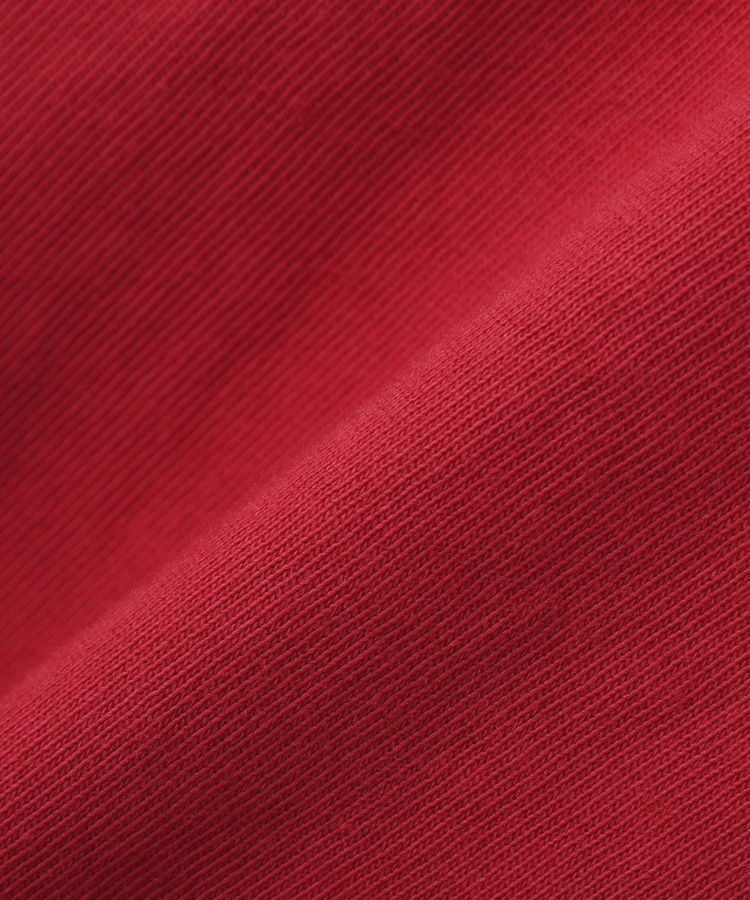 AMERICAN HOLIC「レイヤード風加工Tシャツ」|Tシャツ・カットソー|