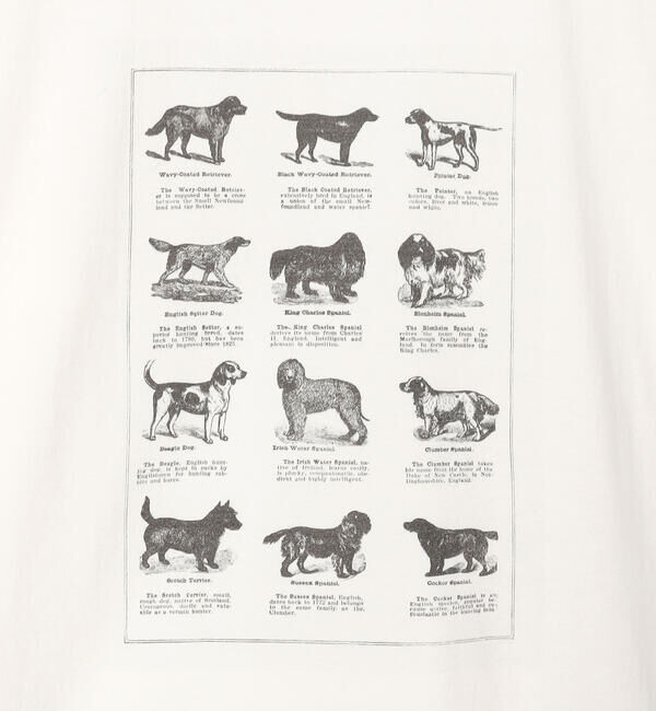  「History of Art | プリントTシャツ DOG WOMEN」|Tシャツ・カットソー|